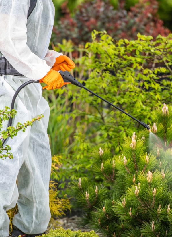 Entretien complet de jardin à Hénin-Beaumont